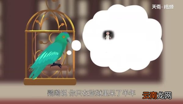 笼中鹦鹉告诉我们什么道理 笼中鹦鹉给我们的启示是什么