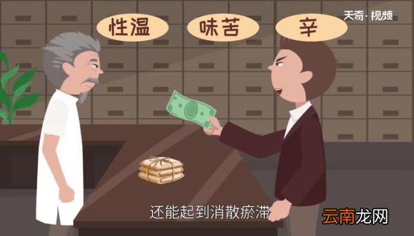 泽兰的功效与作用 泽兰对人体都有哪些好处