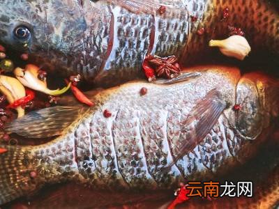 鱼怎么腌