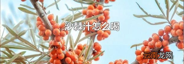 沙棘汁怎么喝