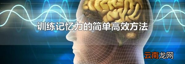 训练记忆力的简单高效方法