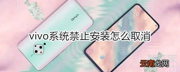 vivo系统禁止安装怎么取消