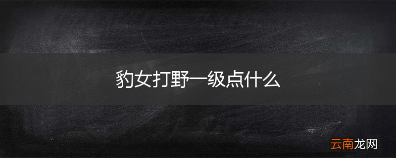 豹女打野一级点什么