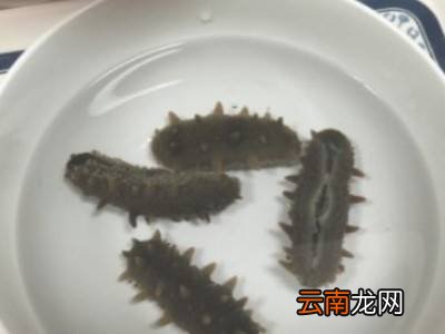如何清洗海参
