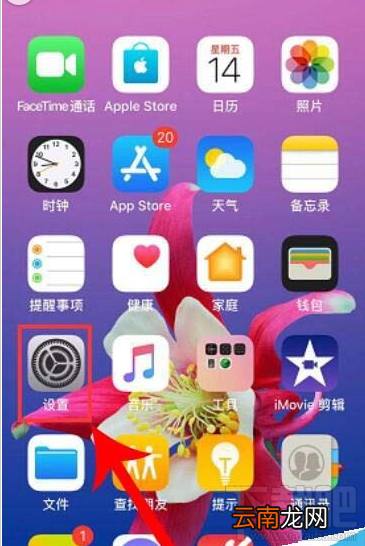 iPhone11如何修改热点名称？iPhone11更改热点名称教程