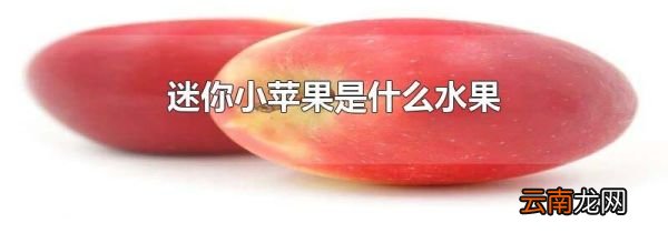 迷你小苹果是什么水果