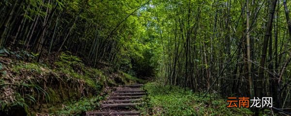在天晴了的时候描绘了小径什么的诱人情景 在天晴了的时候描绘了小径的什么情景