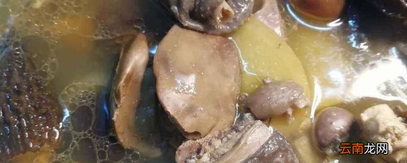 羊菌菇煲汤需要放什么配料