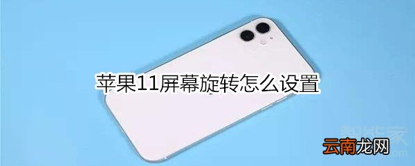 苹果11屏幕旋转怎么设置