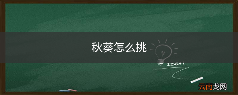 秋葵怎么挑