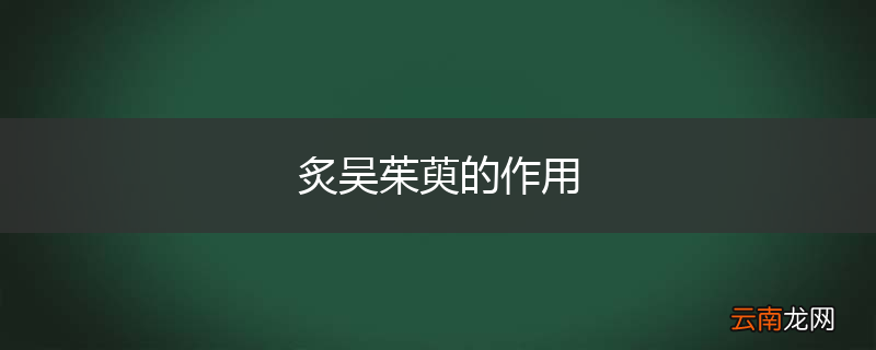 炙吴茱萸的作用