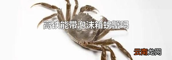 高铁能带泡沫箱螃蟹吗