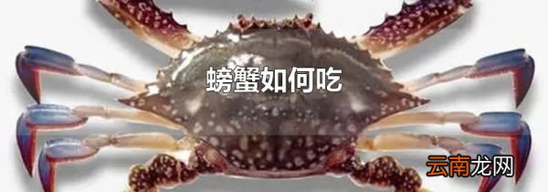 螃蟹如何吃