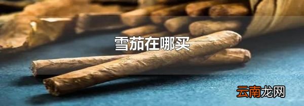 雪茄在哪买