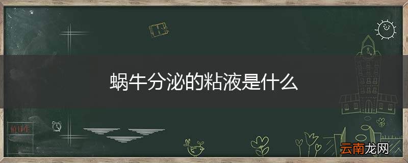 蜗牛分泌的粘液是什么