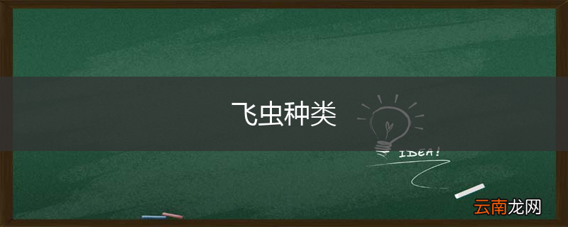 飞虫种类
