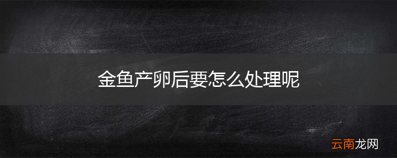 金鱼产卵后要怎么处理呢