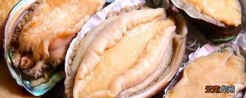 鲍鱼怎么冷冻