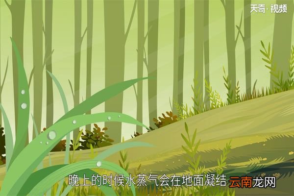 白露是什么时候