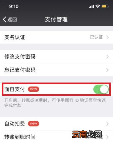 苹果11微信支付怎么用面容