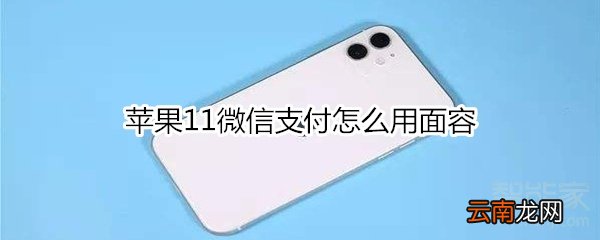苹果11微信支付怎么用面容
