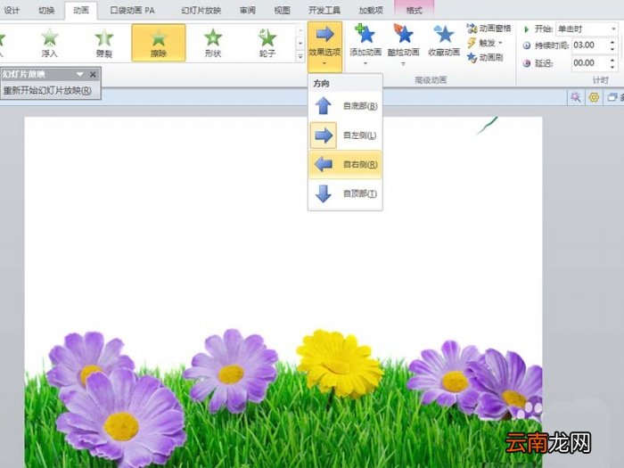 ppt设计出柳条生长动画效果的操作步骤