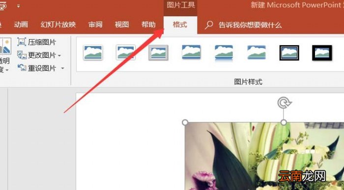 ppt制作出各种各样图形样式的操作步骤