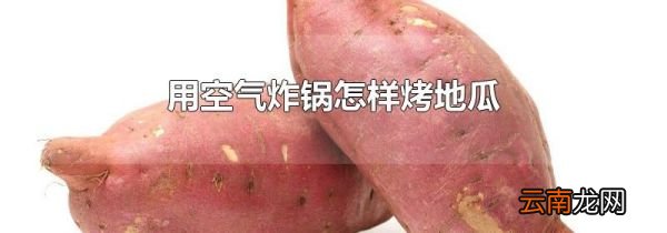 用空气炸锅怎样烤地瓜