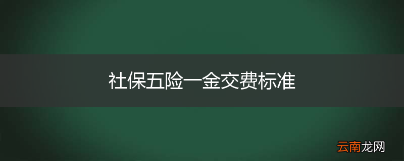 社保五险一金交费标准