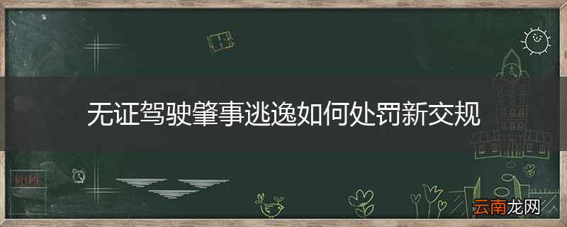 无证驾驶肇事逃逸如何处罚新交规