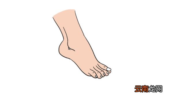 小脚丫简笔画 小脚丫的可爱画法