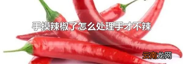 手摸辣椒了怎么处理手才不辣
