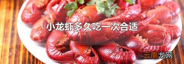 小龙虾多久吃一次合适