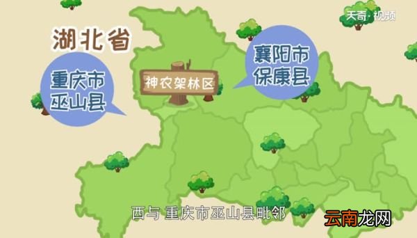 鄂p是哪里的车牌号 鄂P代表那个城市的车牌号