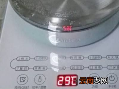 养生壶怎么烧水