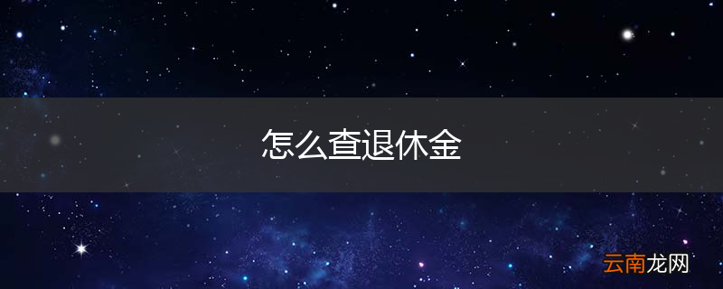 怎么查退休金