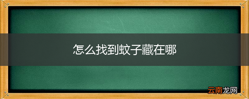怎么找到蚊子藏在哪