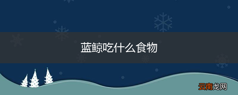 蓝鲸吃什么食物