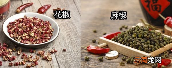 花椒和麻椒一样吗 花椒的果实长在哪里的