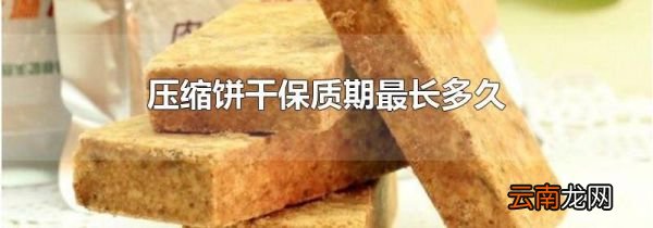 压缩饼干保质期最长多久