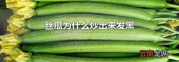 丝瓜为什么炒出来发黑