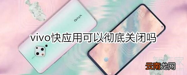 vivo快应用彻底关闭