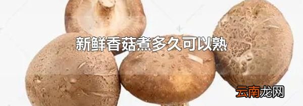 新鲜香菇煮多久可以熟