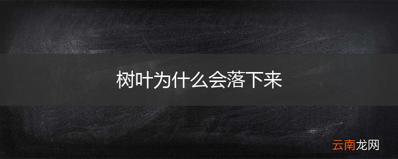 树叶为什么会落下来
