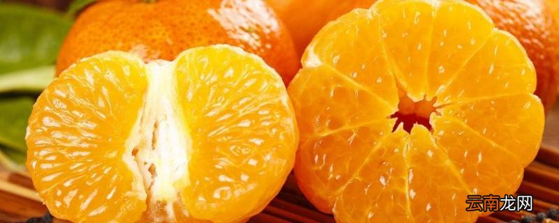怎么挑沙糖桔