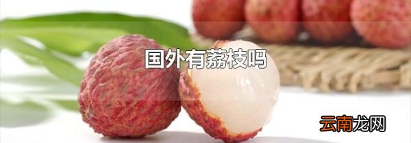 国外有荔枝吗