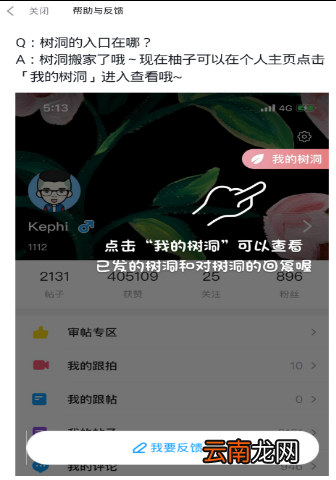 最右app中找到树洞位置的操作步骤