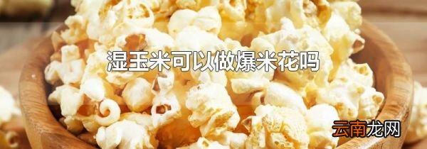 湿玉米可以做爆米花吗
