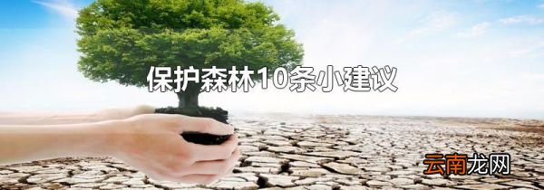 保护森林10条小建议