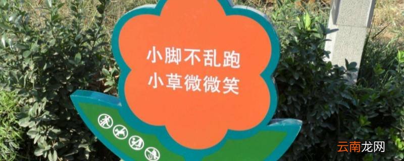 广场草坪上的标语牌是什么